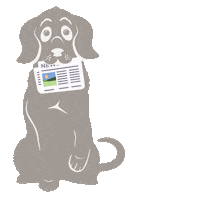 Good Morning Dog Sticker by MjAMjAM Petfood
