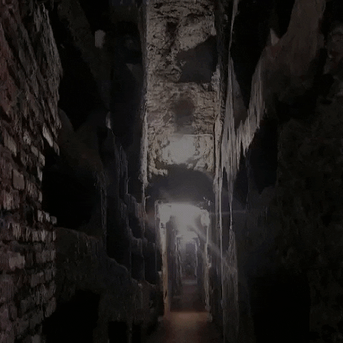 Katakombablog giphyupload sos hungary katakombablog GIF