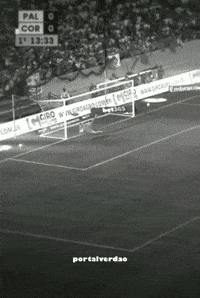 portalverdao palmeiras porco sep portalverdao GIF