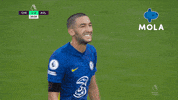 Premier League Football GIF by MolaTV