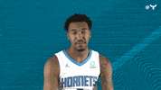 Malik Monk Sport GIF by Charlotte Hornets