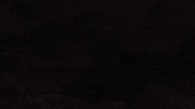 Gila Monster Lizard GIF