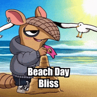 Fun Summer GIF by Chillo Dillo