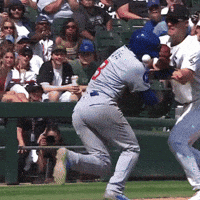 Chicago Cubs Baseball GIF