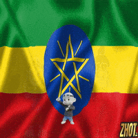 Addis Ababa Unity GIF by Zhot