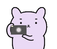 Walkingtomi photo rabbit camera picture Sticker