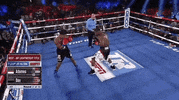 toprank fight boxing fighting espn GIF