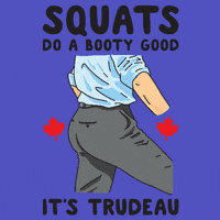buttcrush-gifs-find-share-on-giphy