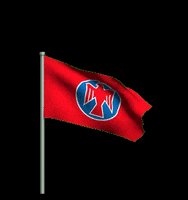 wirfalken fahne falken GIF