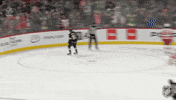 Happy Minnesota Wild GIF by NHL