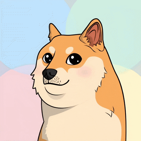 Shiba Inu Wow GIF by Doge Pound