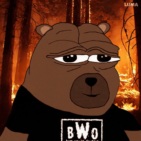 Burning On Fire GIF by Bobo Memes