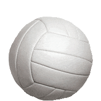 Volleyball Sticker by imoji