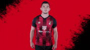 Happy Football GIF by AFC Bournemouth