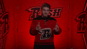 Doubleguns GIF by Rapid City Rush