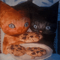 I Love You Cats GIF