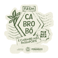 Pe Carimbo Sticker by EMPETUR