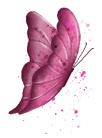 Pink Butterfly Sticker