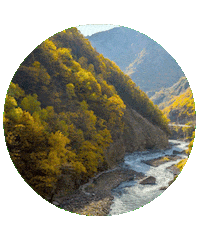 Красота Sticker by kchr