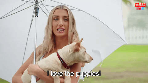 Dog Reaction GIF by Married At First Sight