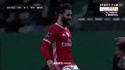 Sl Benfica Hug GIF by Sport Lisboa e Benfica