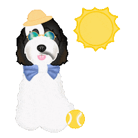 Fetch Dog Fashion Sticker by zoopeez