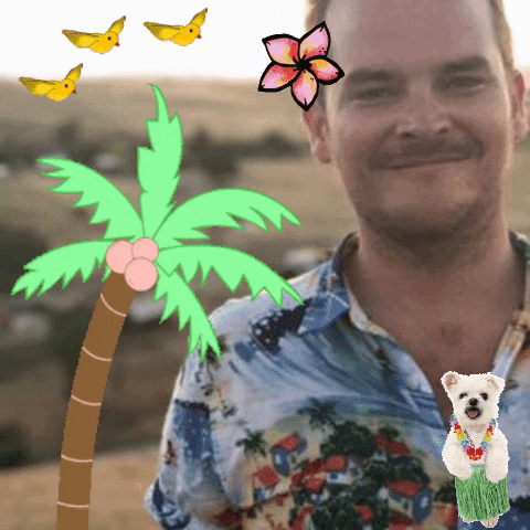 chuber giphygifmaker giphyattribution GIF