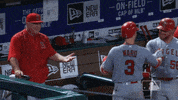 ward hug GIF by MLB