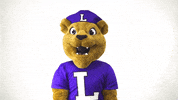 Confused Mascot GIF by Linfield College