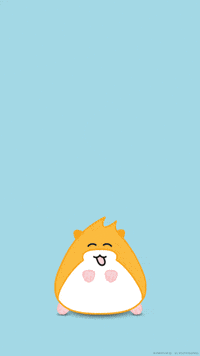 Peek A Boo Love GIF by hamsta.world