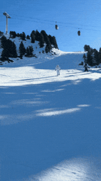 Snow Ski GIF by Wilson