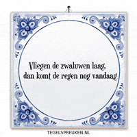 Humor Nl GIF by Tegelspreuken.nl