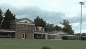joe boyd cnms18 GIF by Carson-Newman Athletics
