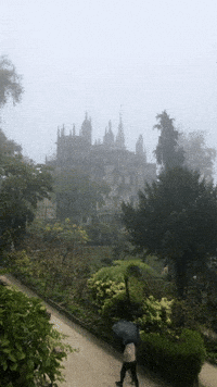 Enchanted Forest Portugal GIF by Adventrgram