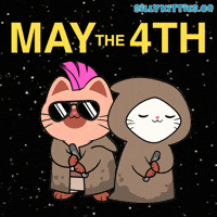 May The Fourth Be With You Star Wars GIF by Silly Kitties