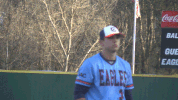 baseball will gardner GIF by Carson-Newman Athletics