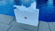 Swimming Pool Fashion GIF by Casol