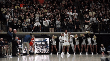Dance Basketball GIF by Purdue Sports