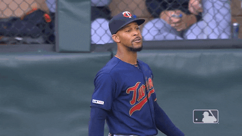 major league baseball sport GIF by MLB