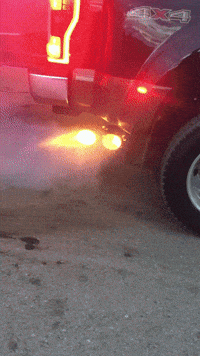 taco bell GIF