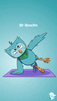 Gym Wo GIF