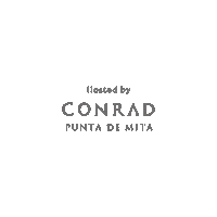 San Valentin Love Sticker by Conrad Punta de Mita