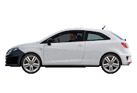 Rio Seat Sticker