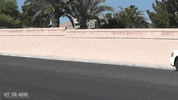 car waving GIF by Off The Jacks