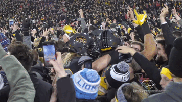 hawks GIF by University of Iowa Hawkeyes Athletics