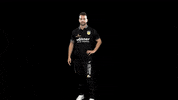 Handball GIF by HSC 2000 Coburg
