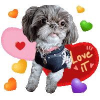 Love It Excited Pup Sticker