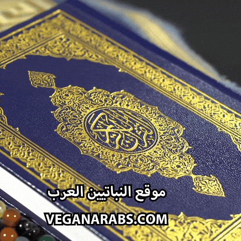 Ramadan Kareem GIF by VeganArabs
