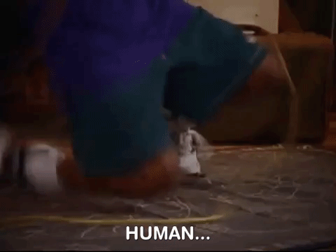 nicksplat nickelodeon GIF