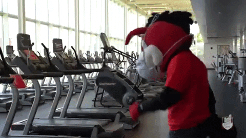 Gym Exercise GIF by University of Central Missouri